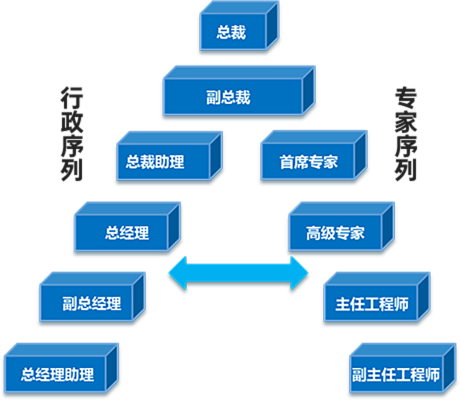 十拿九稳专家预测