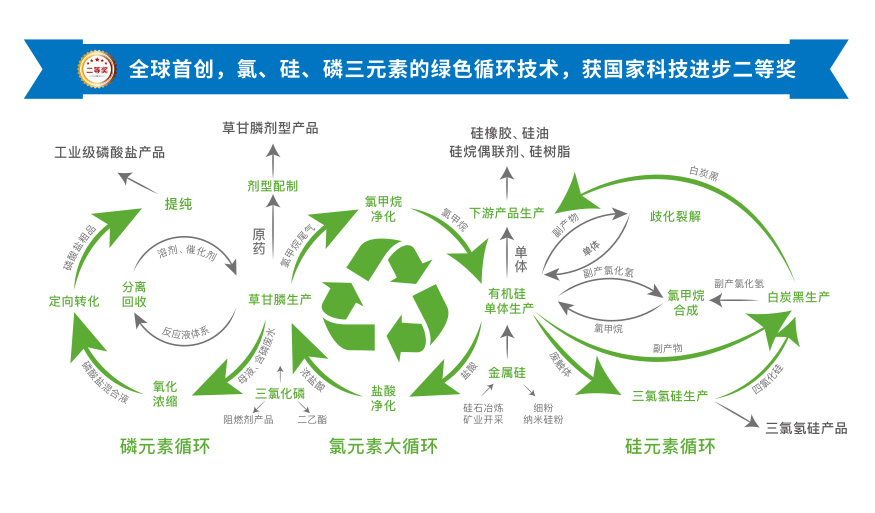 十拿九稳专家预测