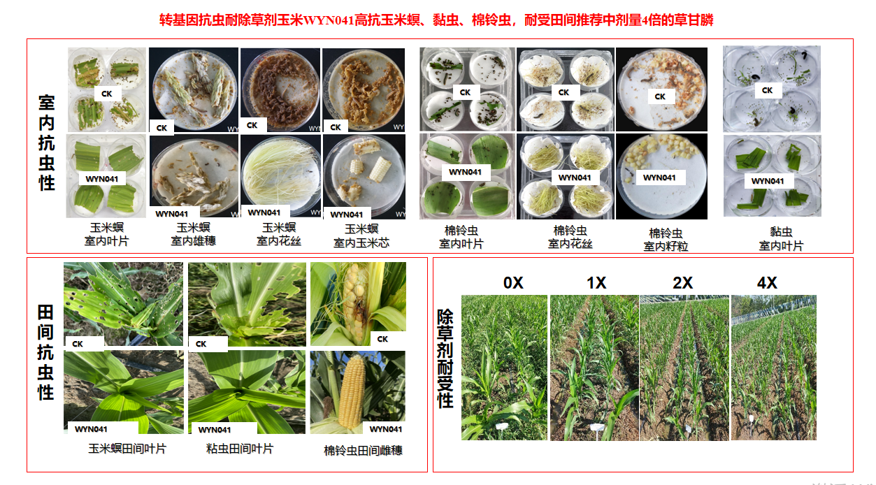 十拿九稳专家预测