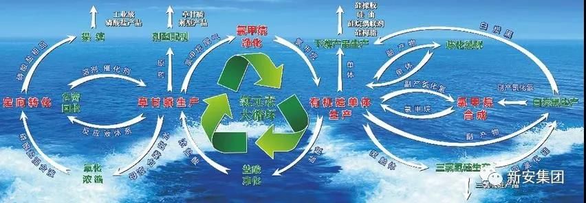 十拿九稳专家预测